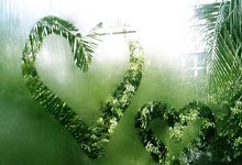 开云APP-国王绝杀篮网，利拉德关键制胜