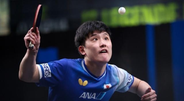 波兰队轻取日本队,张本智和扛起全队 波兰队轻取日本队,张本智和扛起全队